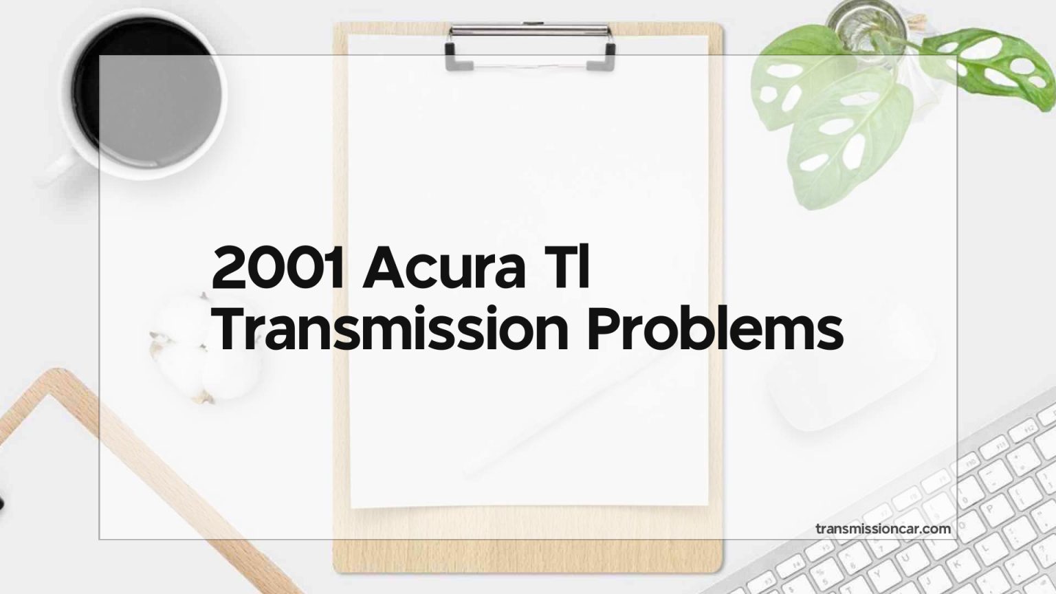 2001 Acura Tl Transmission Problems Car Transmission Guide